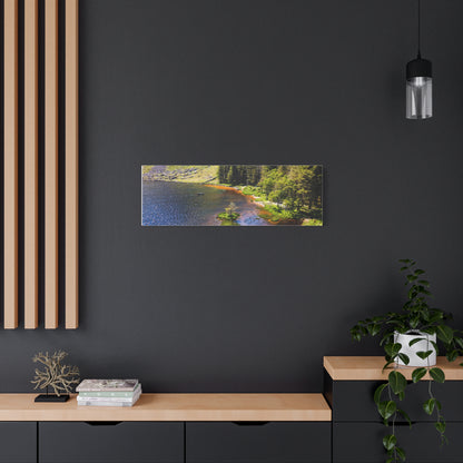 Gleanteenassig Forest Matte Canvas, Stretched, 1.25"