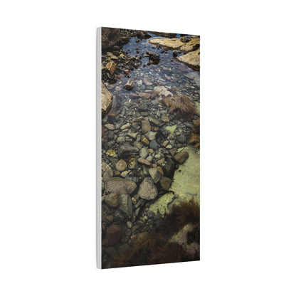 Rocks Matte Canvas, Stretched, 1.25"