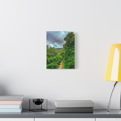 Torc Trail Matte Canvas, Stretched, 1.25"
