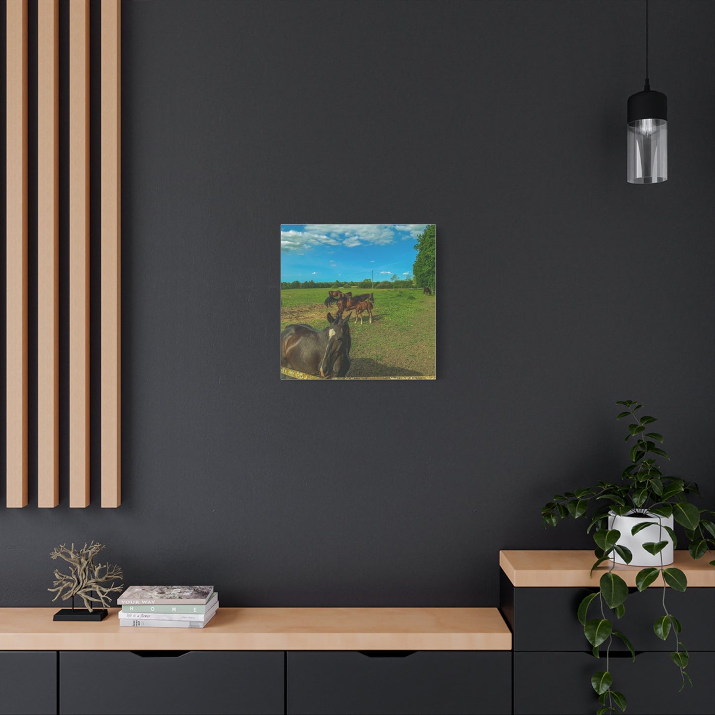 Horse Matte Canvas, Stretched, 1.25"
