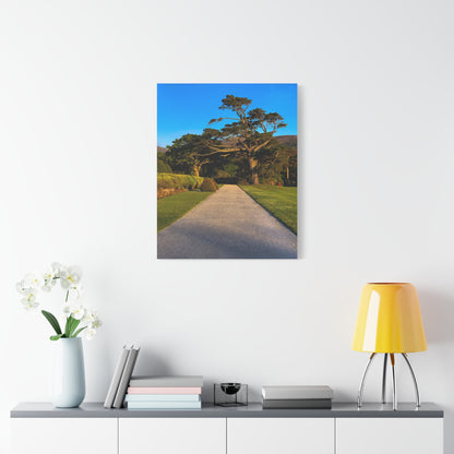 Muckross House Garden Matte Canvas, Stretched, 1.25"