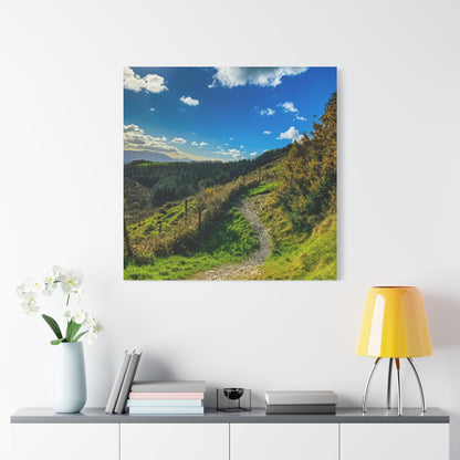 Glanageenty Forest Trail Matte Canvas, Stretched, 1.25"