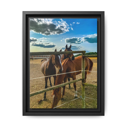 Horses Matte Canvas, Framed (Multi-color)