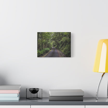 Glanageenty Forest Trail Matte Canvas, Stretched, 1.25"