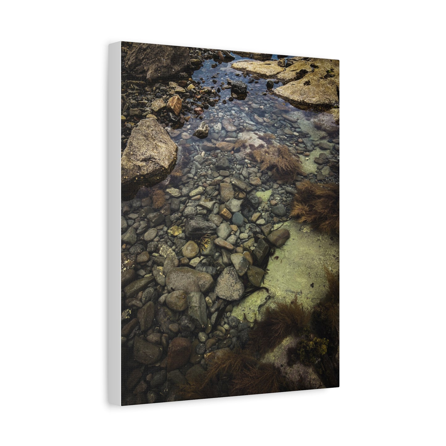 Rocks Matte Canvas, Stretched, 1.25"