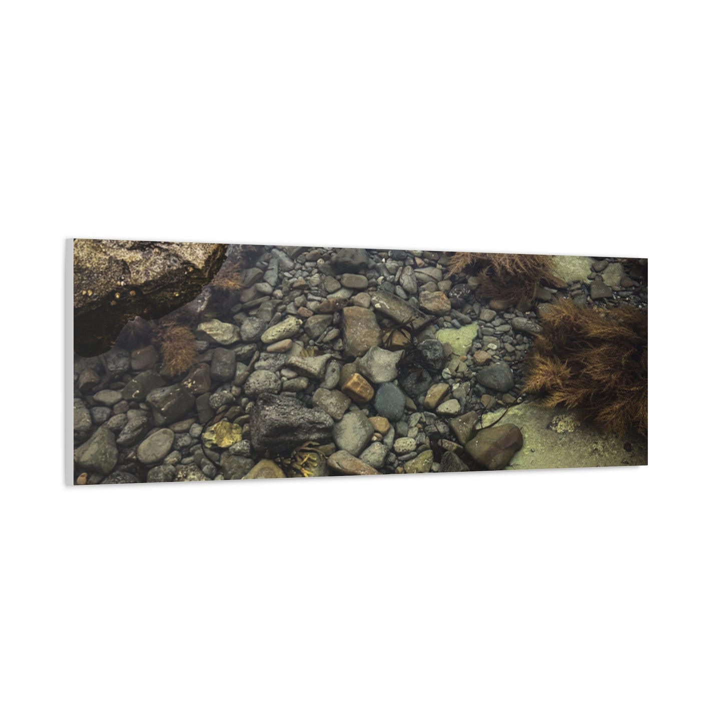 Rocks Matte Canvas, Stretched, 1.25"