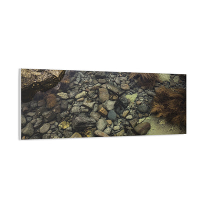 Rocks Matte Canvas, Stretched, 1.25"