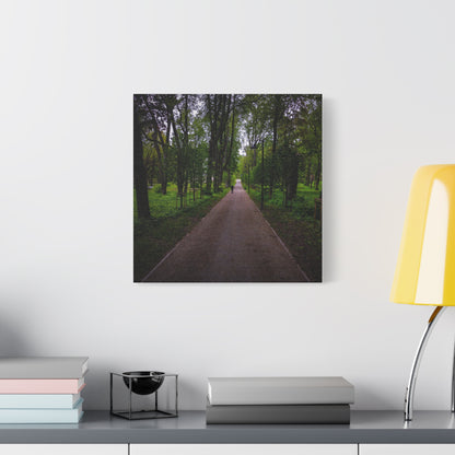 Zagares Park Lithuania Matte Canvas, Stretched, 1.25"