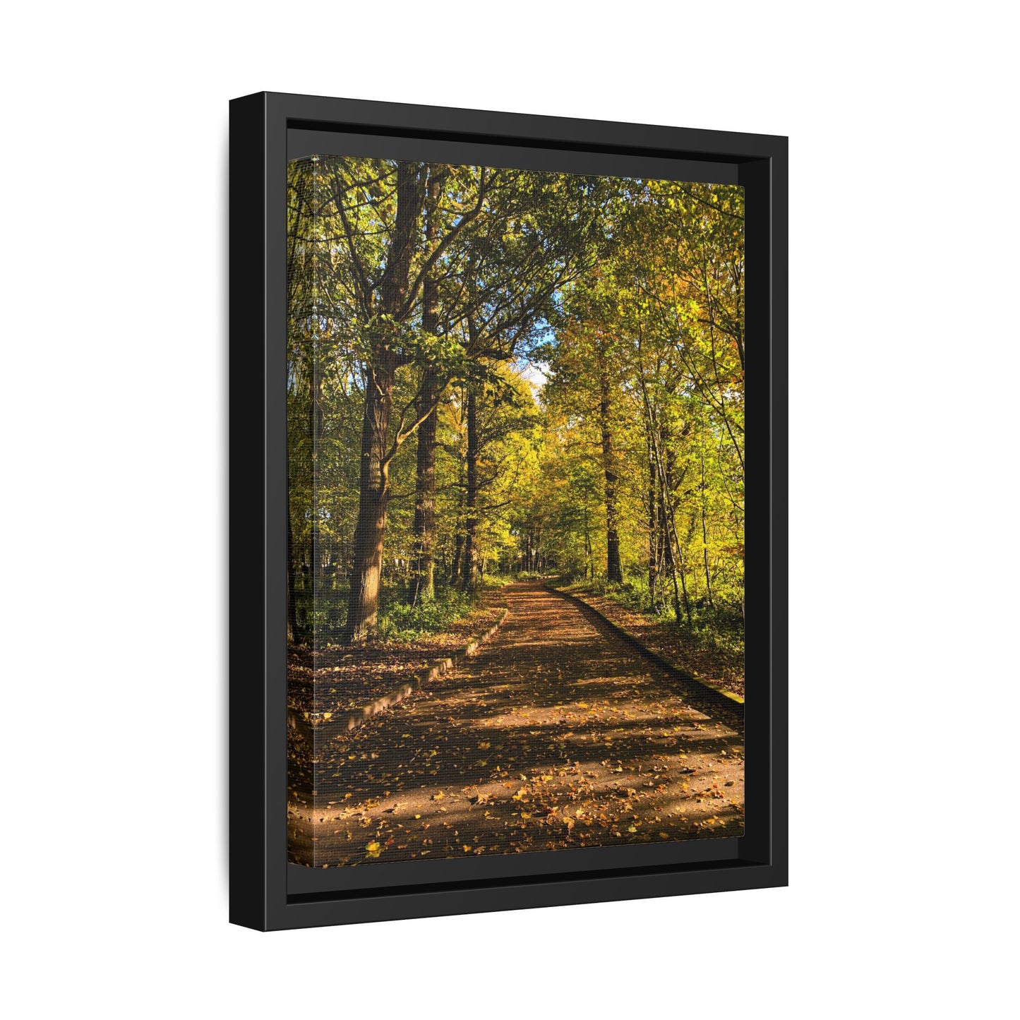 Listowel Town Park Autumn Matte Canvas, Framed (Multi-color)