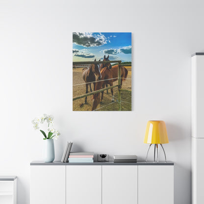 Horses Matte Canvas, Stretched, 1.25"