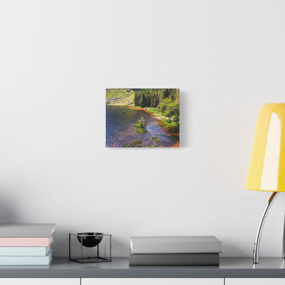 Gleanteenassig Forest Matte Canvas, Stretched, 1.25"