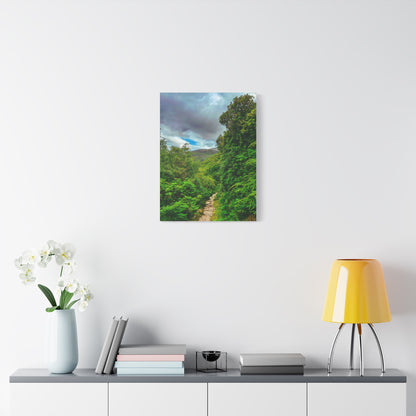 Torc Trail Matte Canvas, Stretched, 1.25"