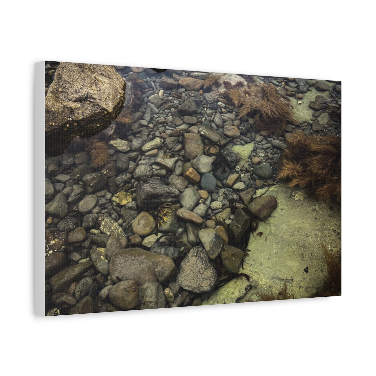 Rocks Matte Canvas, Stretched, 1.25"