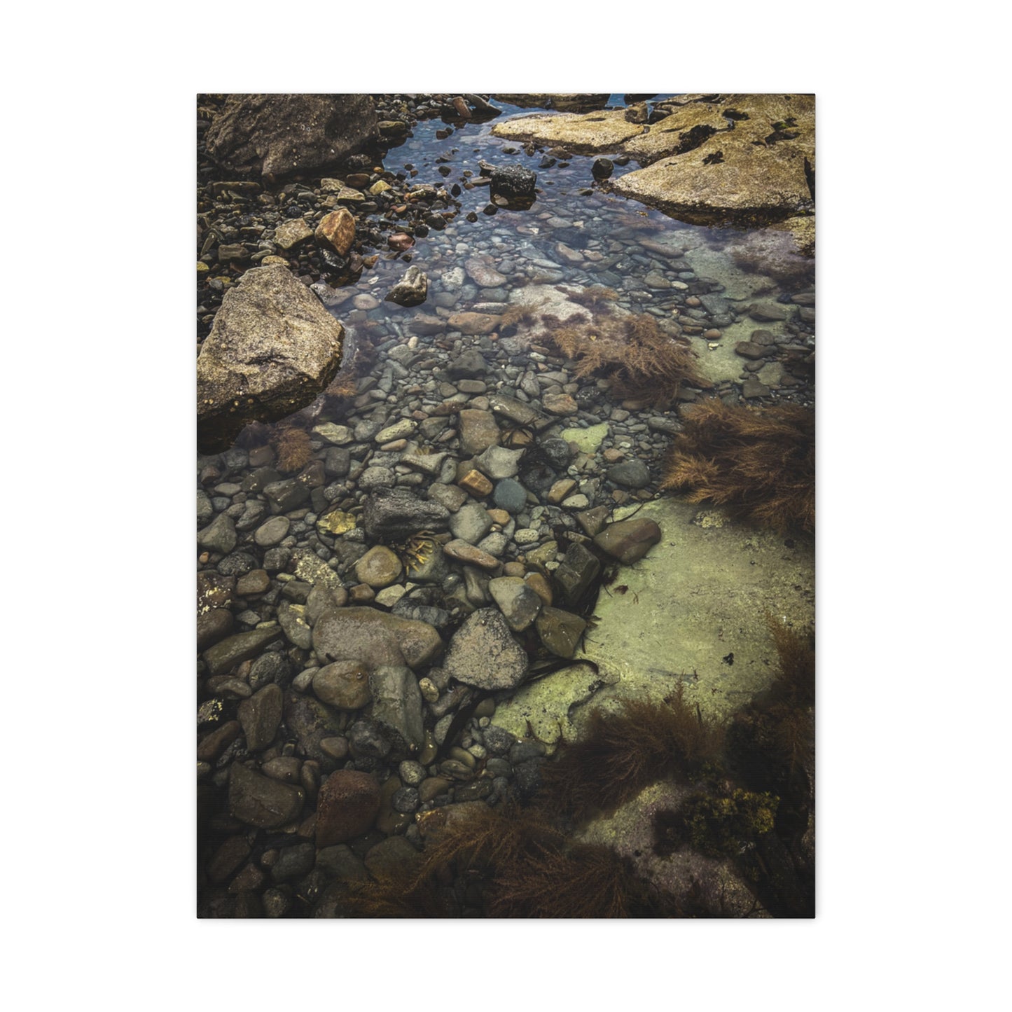 Rocks Matte Canvas, Stretched, 1.25"