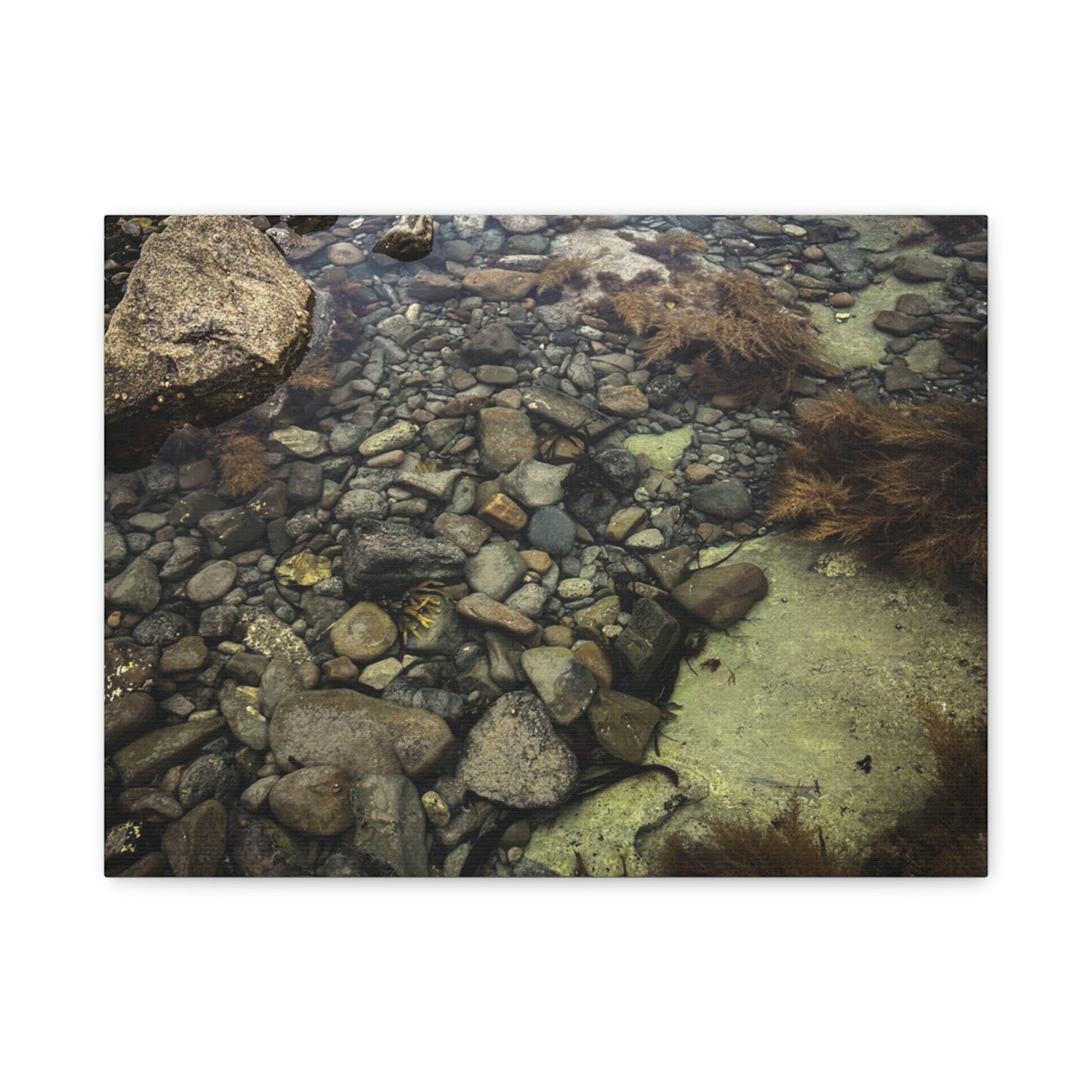 Rocks Matte Canvas, Stretched, 1.25"