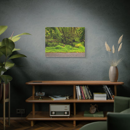 Deer in Ditch Matte Canvas, Stretched, 1.25"