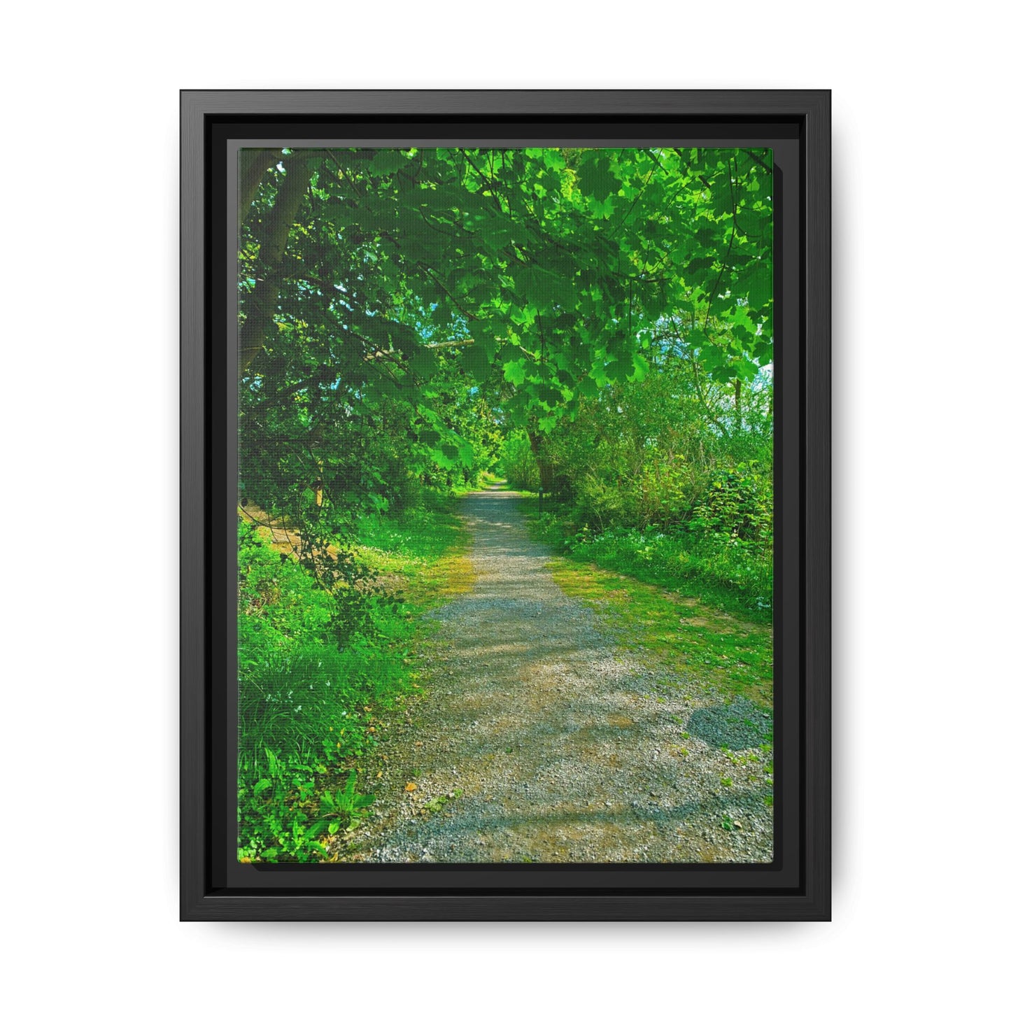 Listowel River Walk Matte Canvas, Framed (Multi-color)