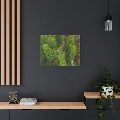 Glanageenty Forest Matte Canvas, Stretched, 1.25"