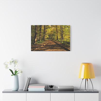 Listowel Town Park Autumn Matte Canvas, Stretched, 1.25"