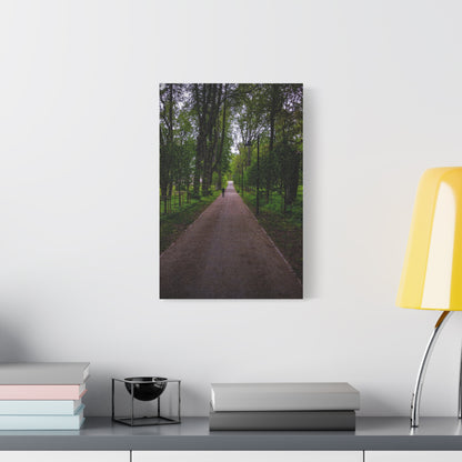 Zagares Park Lithuania Matte Canvas, Stretched, 1.25"