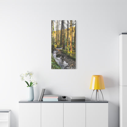 Glanageenty Forest Trail 2 Matte Canvas, Stretched, 1.25"