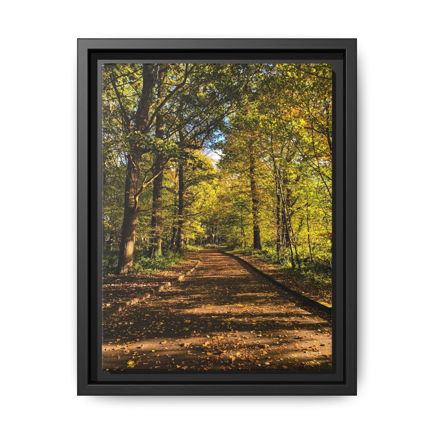 Listowel Town Park Autumn Matte Canvas, Framed (Multi-color)