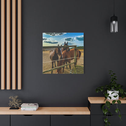 Horses Matte Canvas, Stretched, 1.25"