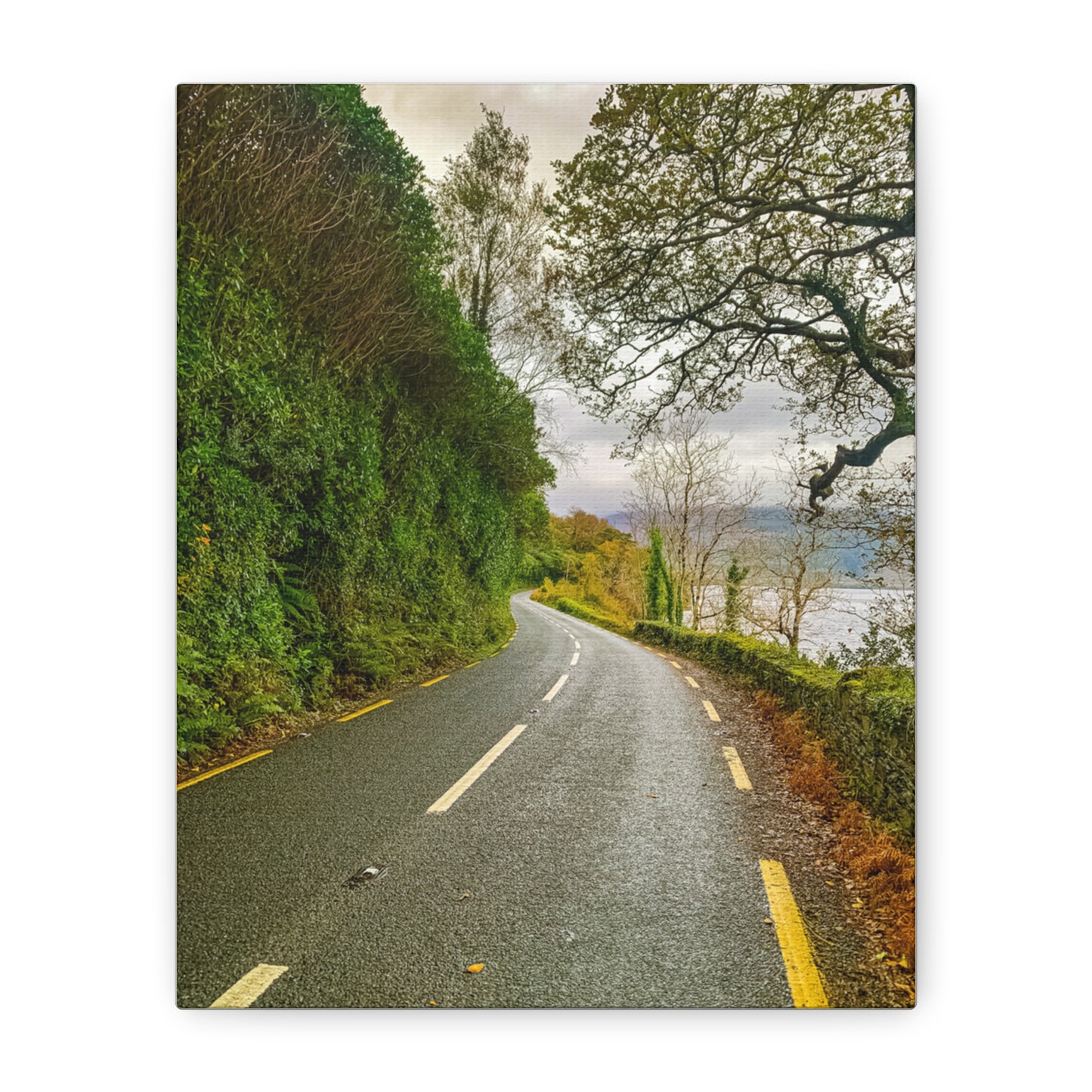 Killarney National Park Matte Canvas, Stretched, 1.25"