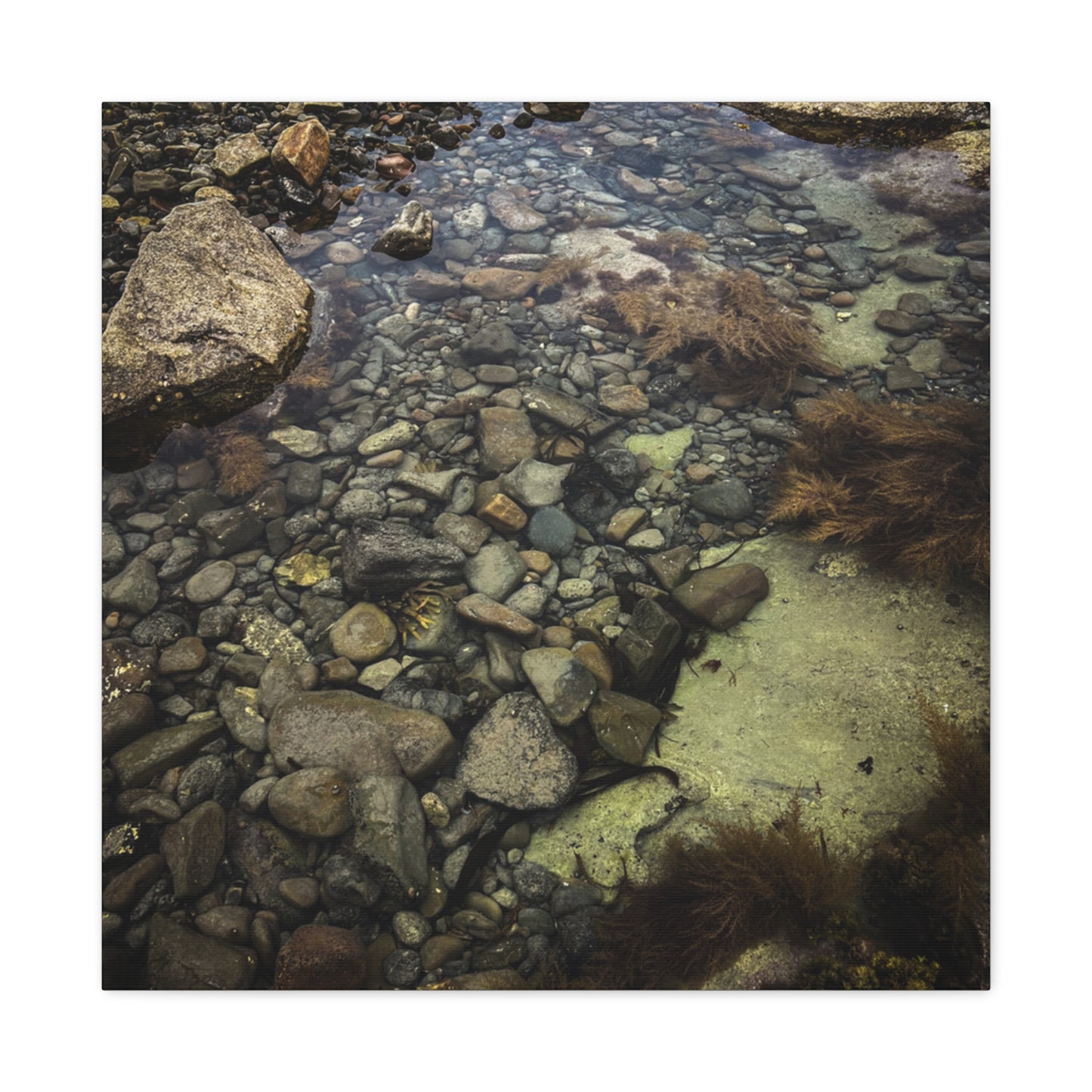 Rocks Matte Canvas, Stretched, 1.25"