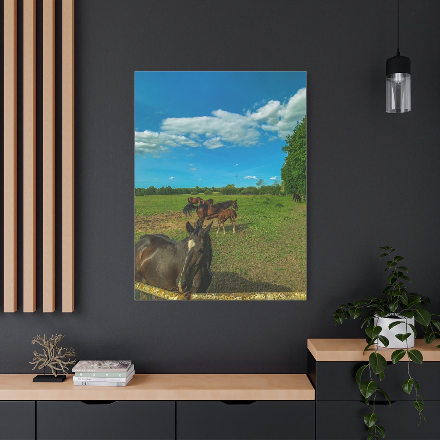 Horse Matte Canvas, Stretched, 1.25"