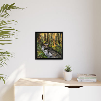 Glanageenty Forest Trail 2 Matte Canvas, Framed (Multi-color)