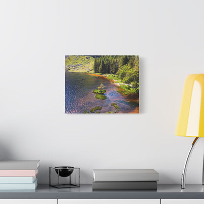 Gleanteenassig Forest Matte Canvas, Stretched, 1.25"