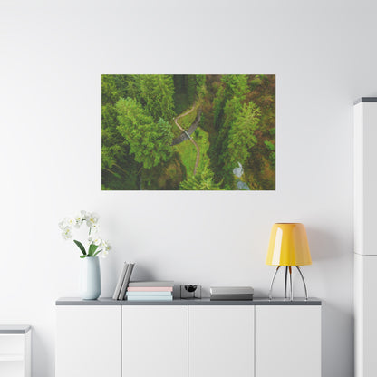 Glanageenty Forest Matte Canvas, Stretched, 1.25"