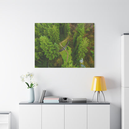 Glanageenty Forest Matte Canvas, Stretched, 1.25"