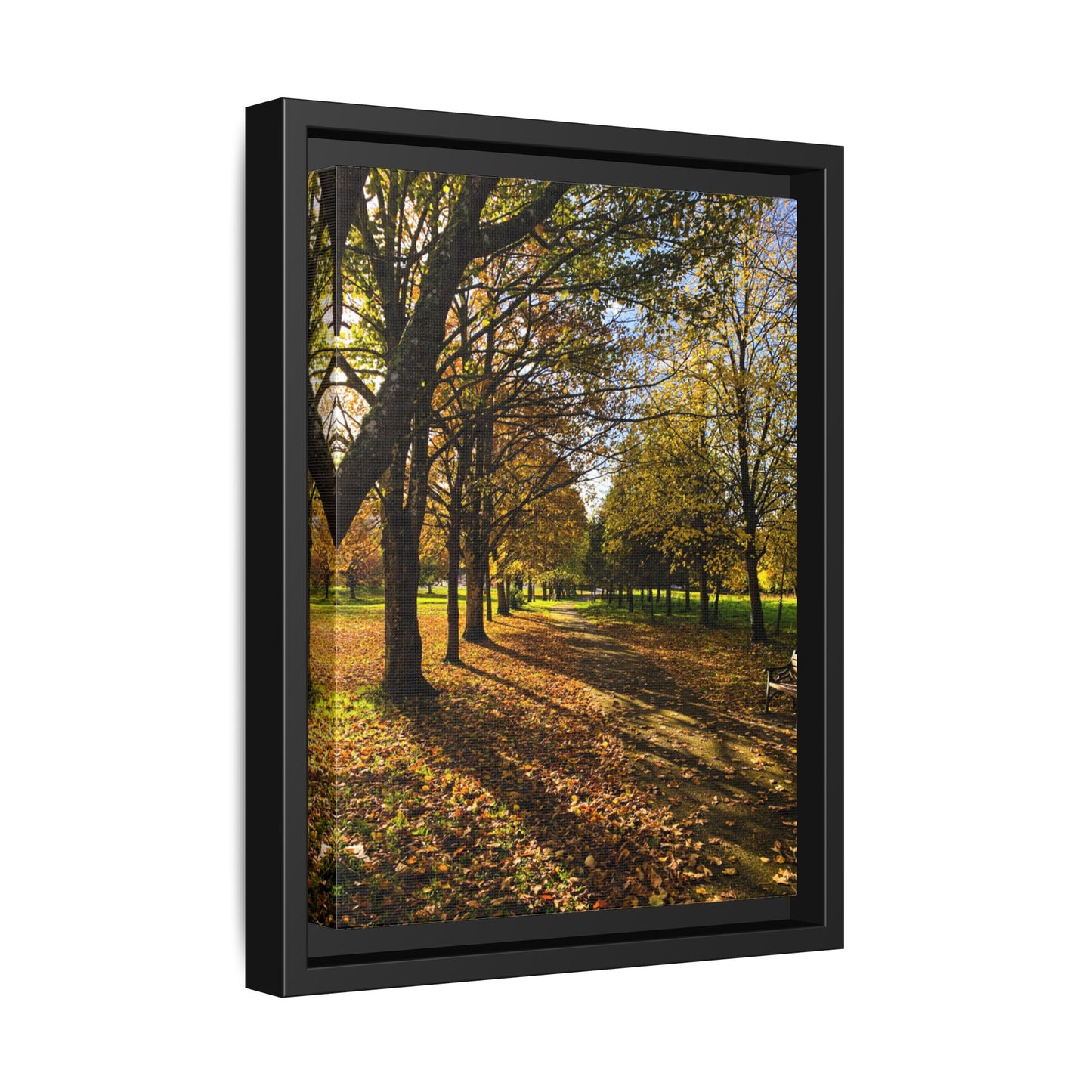 Listowel town Park Autumn Matte Canvas, Framed (Multi-color)