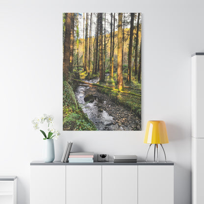 Glanageenty Forest Trail 2 Matte Canvas, Stretched, 1.25"