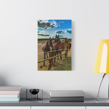 Horses Matte Canvas, Stretched, 1.25"