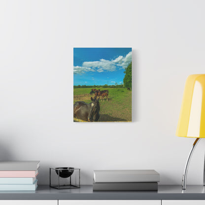 Horse Matte Canvas, Stretched, 1.25"