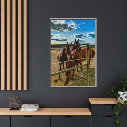 Horses Matte Canvas, Framed (Multi-color)