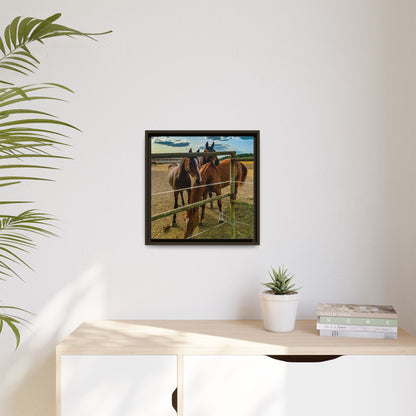 Horses Matte Canvas, Framed (Multi-color)
