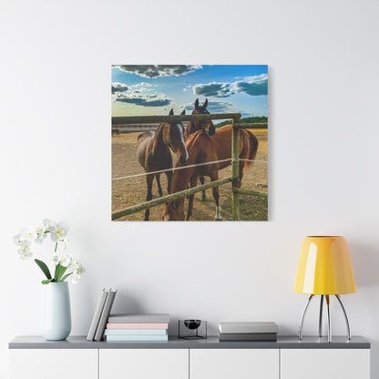 Horses Matte Canvas, Stretched, 1.25"