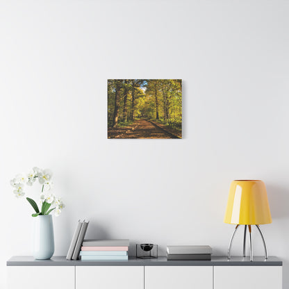 Listowel Town Park Autumn Matte Canvas, Stretched, 1.25"