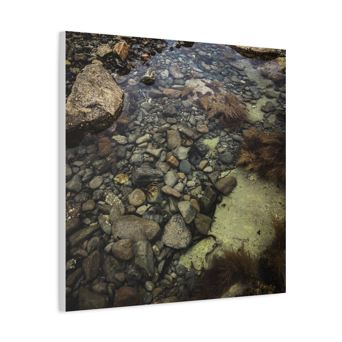 Rocks Matte Canvas, Stretched, 1.25"