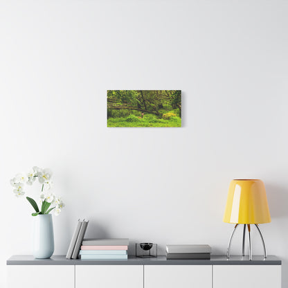 Deer in Ditch Matte Canvas, Stretched, 1.25"