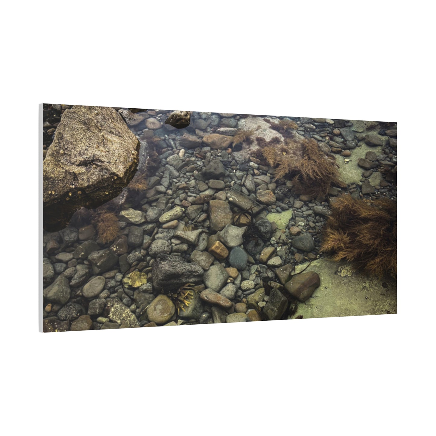 Rocks Matte Canvas, Stretched, 1.25"