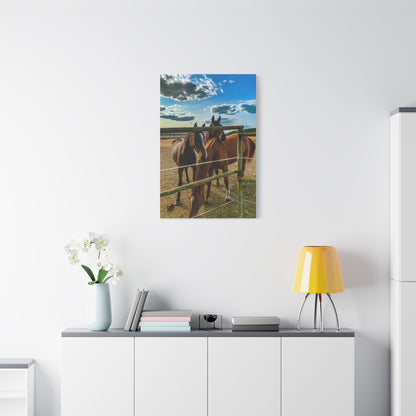 Horses Matte Canvas, Stretched, 1.25"
