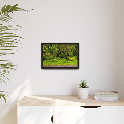 Deer in Ditch Matte Canvas, Framed (Multi-color)