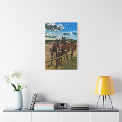 Horses Matte Canvas, Stretched, 1.25"