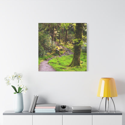 Torc Trail Matte Canvas, Stretched, 1.25"
