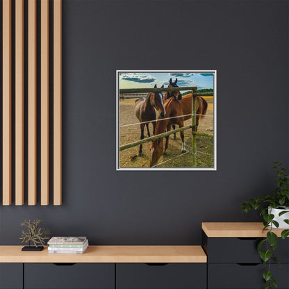 Horses Matte Canvas, Framed (Multi-color)